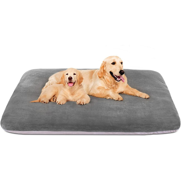 big dog mattress