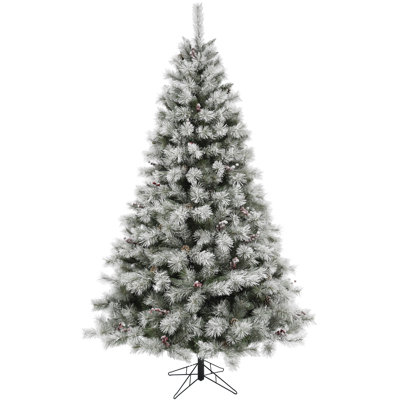 The Holiday Aisle Homestead Prelit Frosted 7 5 Green Pine
