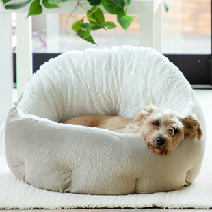 Deep Dish Dog Bed Wayfair
