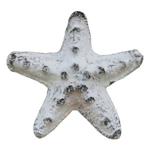 Cast Iron Starfish Paperweight