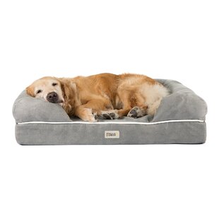 Beige Cockapoo Shaped Dog Cushion By Creature Comforts Direct Large