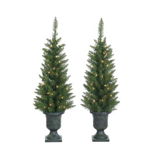 Outdoor Prelit Palm Tree Wayfair Pre Lit Palm Tree 3 5 Green Cedar Pine Artificial Christmas With 50 Clear White Lights Pot Set Of 2