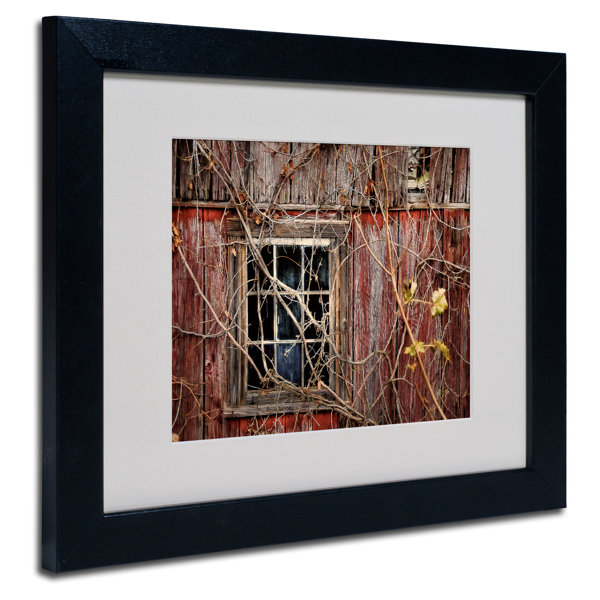 Old Window Frame Wayfair