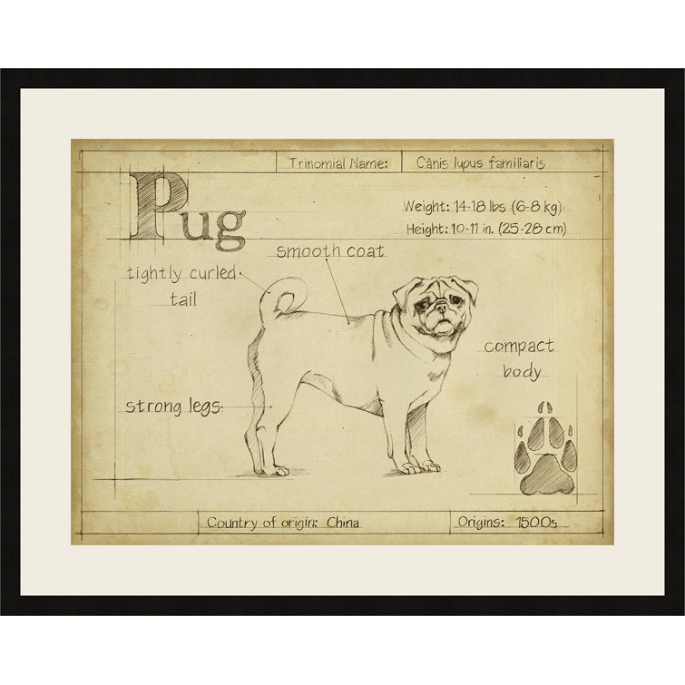 pug photo frame