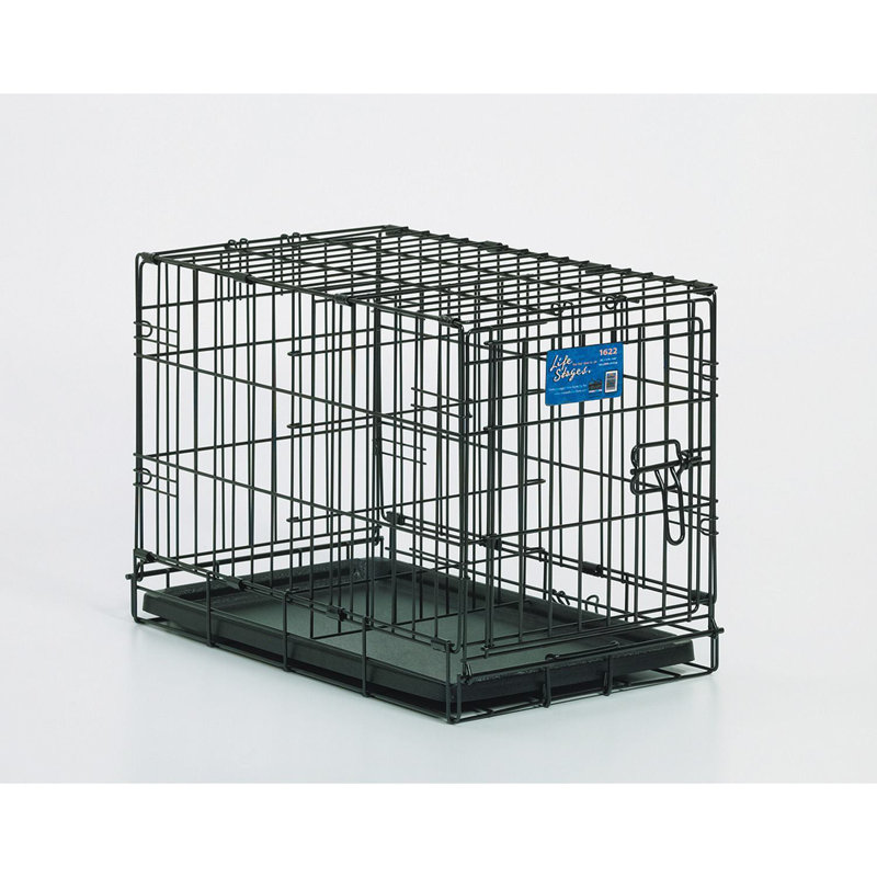 midwest pet crates