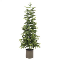 christmas treewith lights
