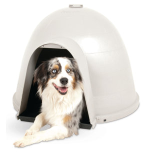 igloo dog houses