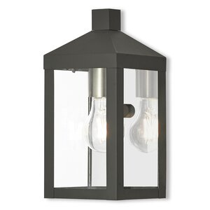 Demery 1-Light Outdoor Wall Lantern