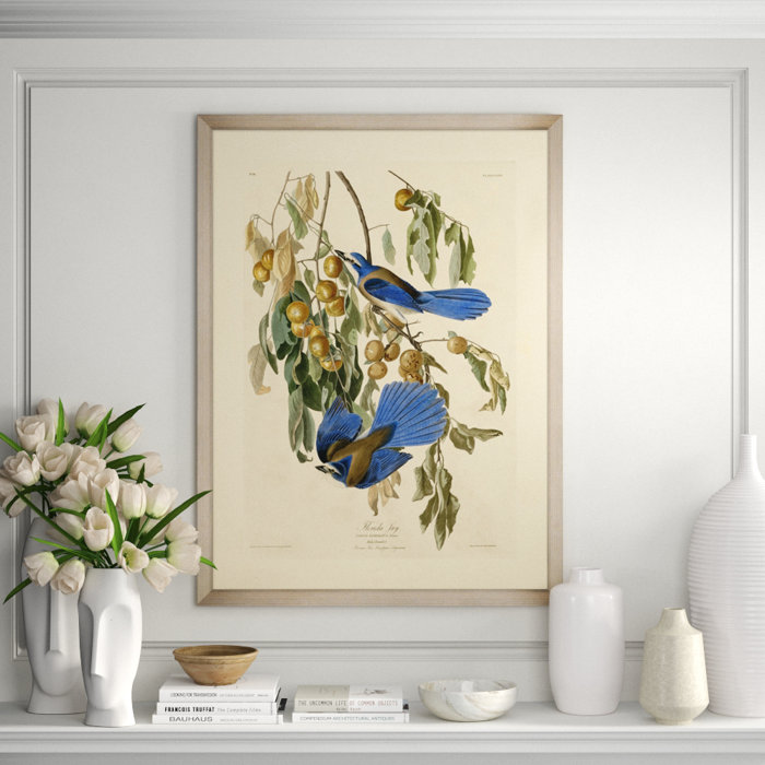 Providence Art 'Florida Jay' - Picture Frame Painting ...