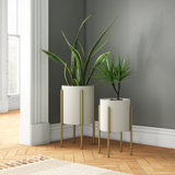 2 Large Indoor Planters You Ll Love In 2021 Wayfair