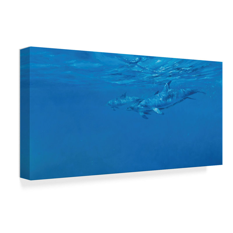 World Menagerie Dolphins Underwater Acrylic Painting Print On