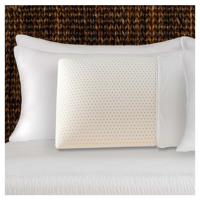 Beautyrest Plush Latex Pillow Reviews Wayfair