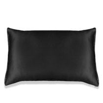 wayfair silk pillowcase