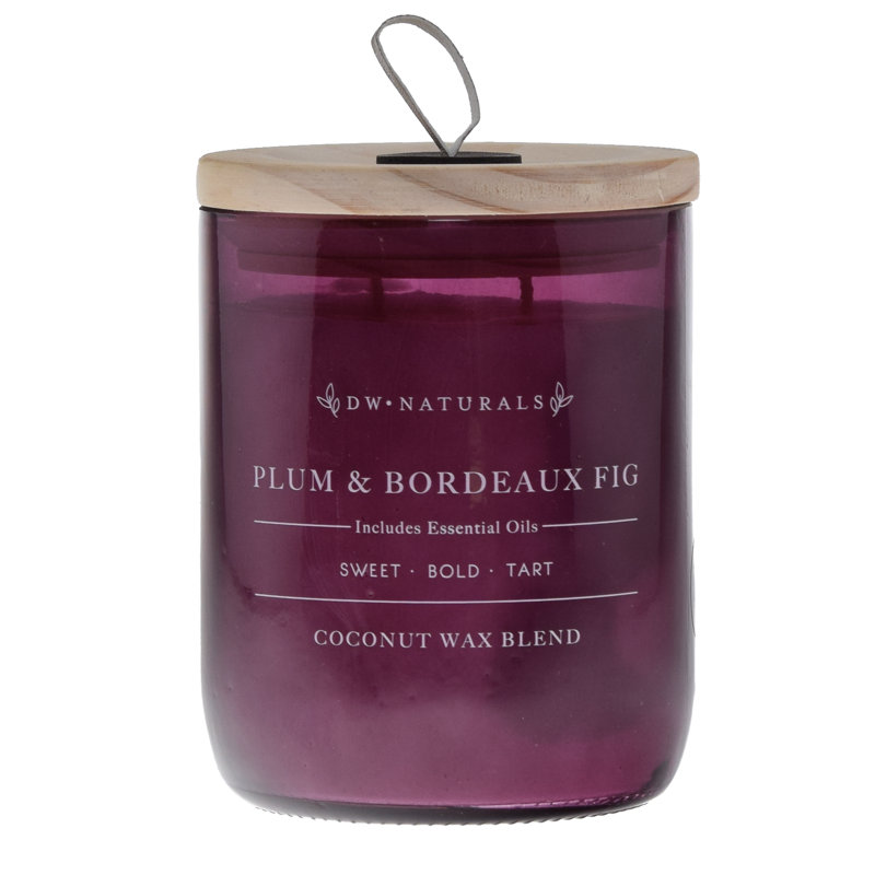 Dwhome Plum Bordeaux Fig Scented Jar Candle Wayfair