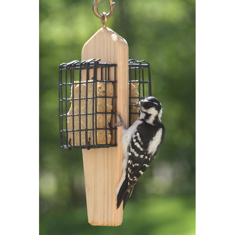 Birds Choice Cedar Double Cake Hanging Suet Bird Feeder Wayfair