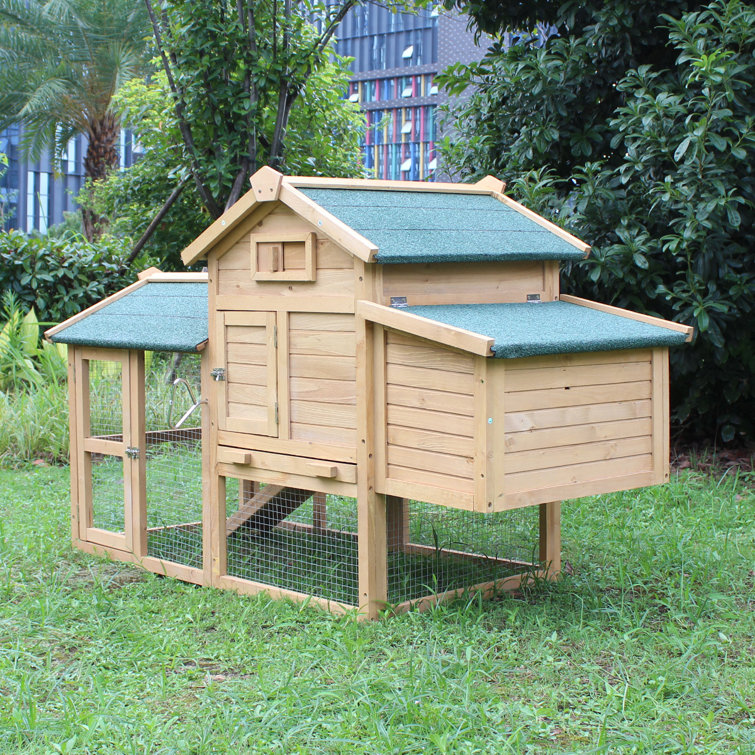rabbit hutch homebase