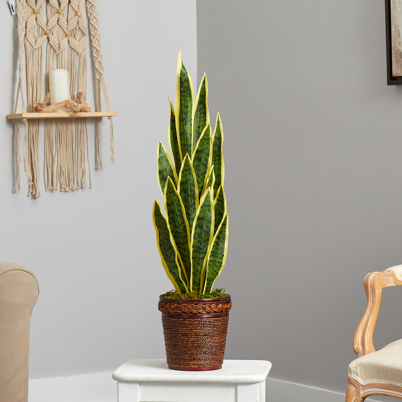Primrue Faux Snake Plant in Wood Basket Wayfair
