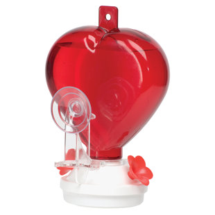 Bee Proof Hummingbird Feeder Wayfair