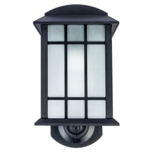 Maximus 1-Light Outdoor Wall Lantern