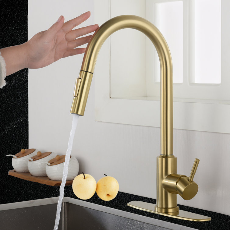 Brushed Nickel Pull Out Single Handle Kitchen Faucet