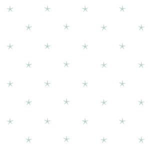 Sand Dollar White Sands Starfish 16.5' x 20.5