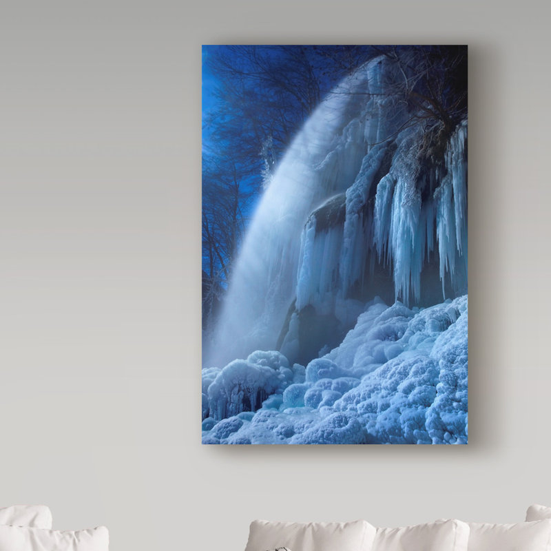 Trademark Art Frozen In The Moonlight Photographic Print On