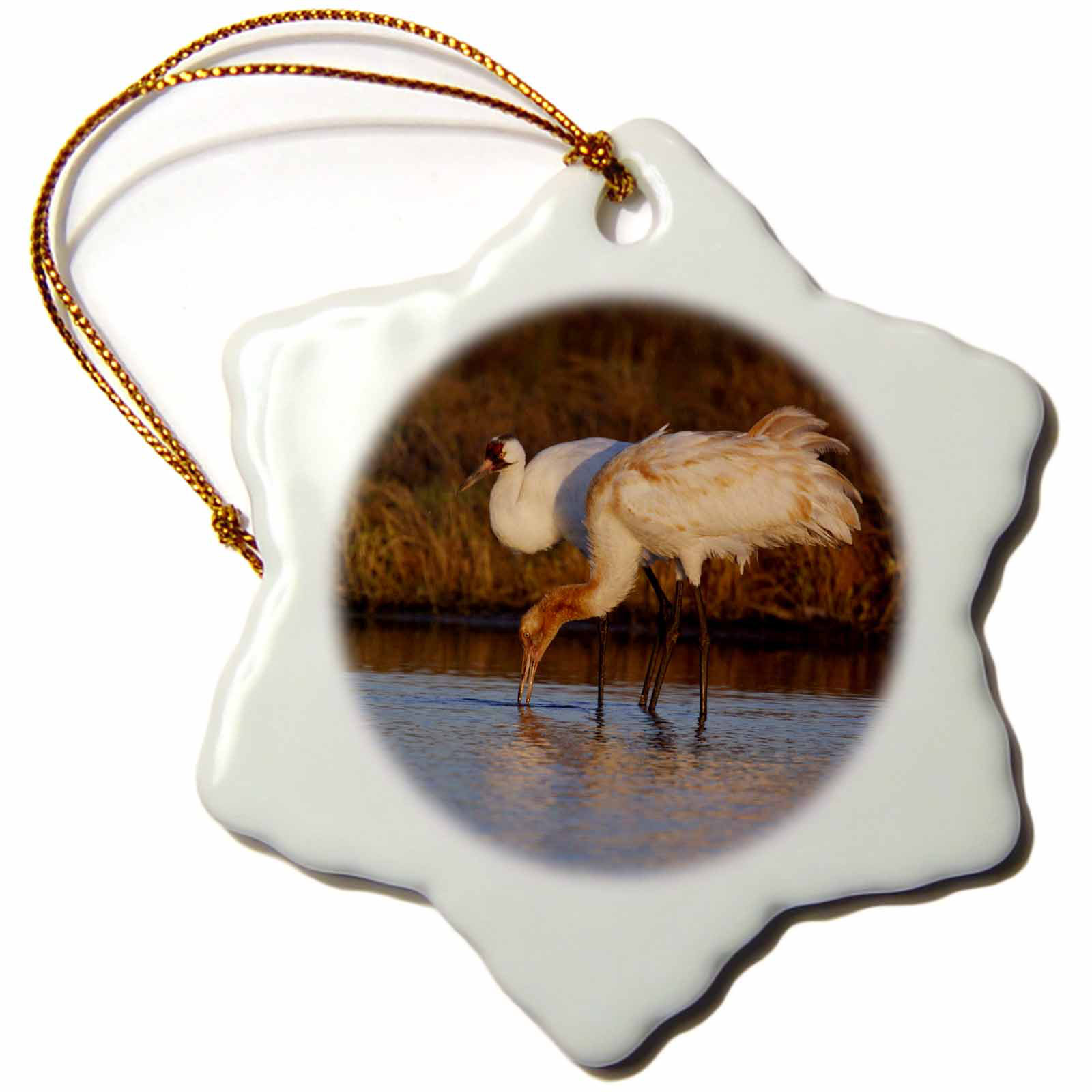 The Holiday Aisle Whooping Crane Bird Aransas Refuge Texas Usa Snowflake Holiday Shaped Ornament Wayfair