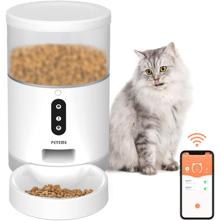 small animal automatic feeder
