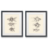 2 Piece Fish Framed Art You Ll Love In 2021 Wayfair