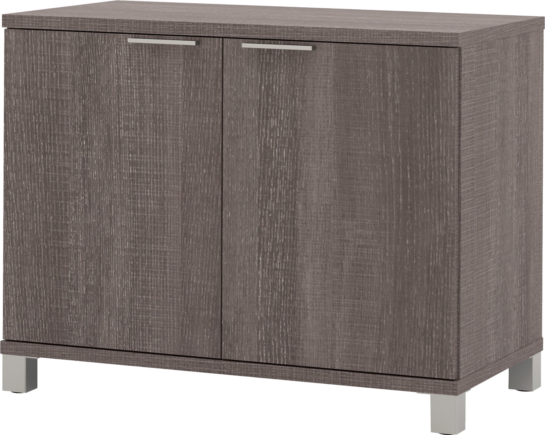 Vanessa 2 Door Storage Cabinet Reviews Allmodern