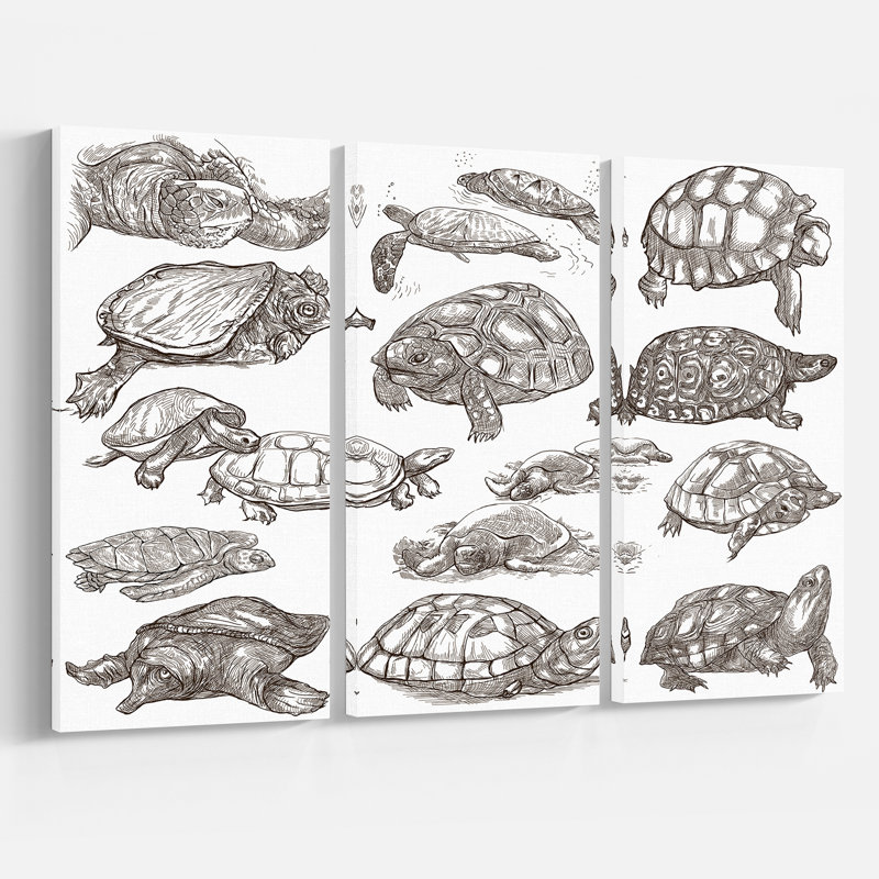 East Urban Home Sketch Of Nautical Turtles In Freehand Sketching