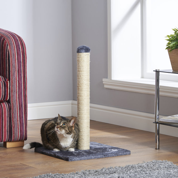 wayfair cat scratchers