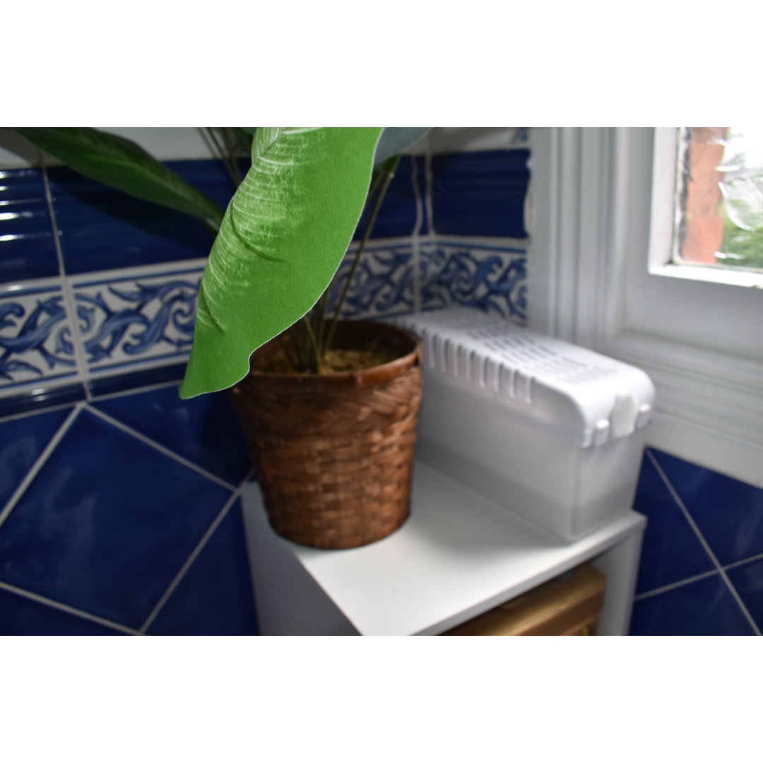 Damp Kontrol Luftentfeuchter