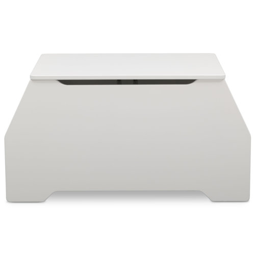 white toy box with name