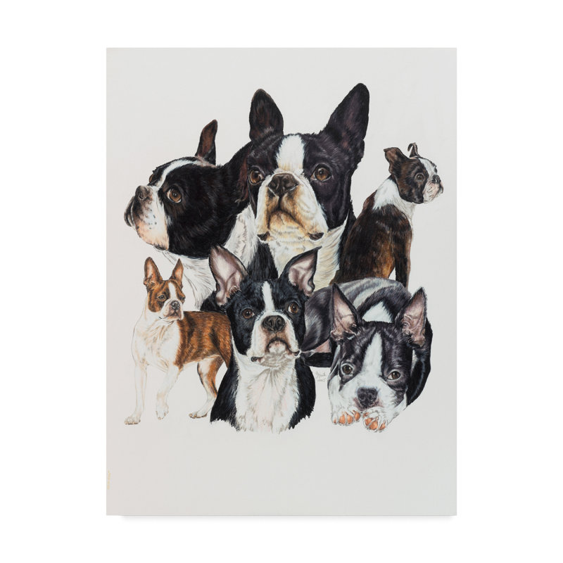 Trademark Art Boston Terrier Oil Painting Print On Wrapped