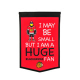 Nhl St Louis Blues Nhl Home Decor You Ll Love In 2020 Wayfair