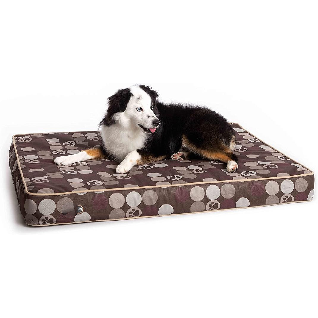 senior dog bed