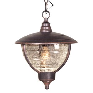 Vista 1-Light Outdoor Hanging Lantern