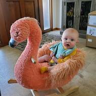 flamingo baby rocker