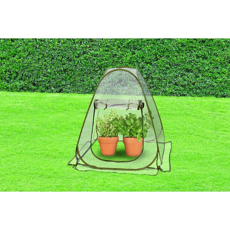 Measures 27 x 27 x 31 KOVOT Pop Up Greenhouse Mini Pop Up Greenhouse for Indoor/Outdoor Planting 
