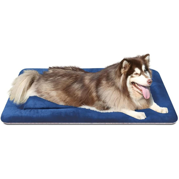 extra large dog mats