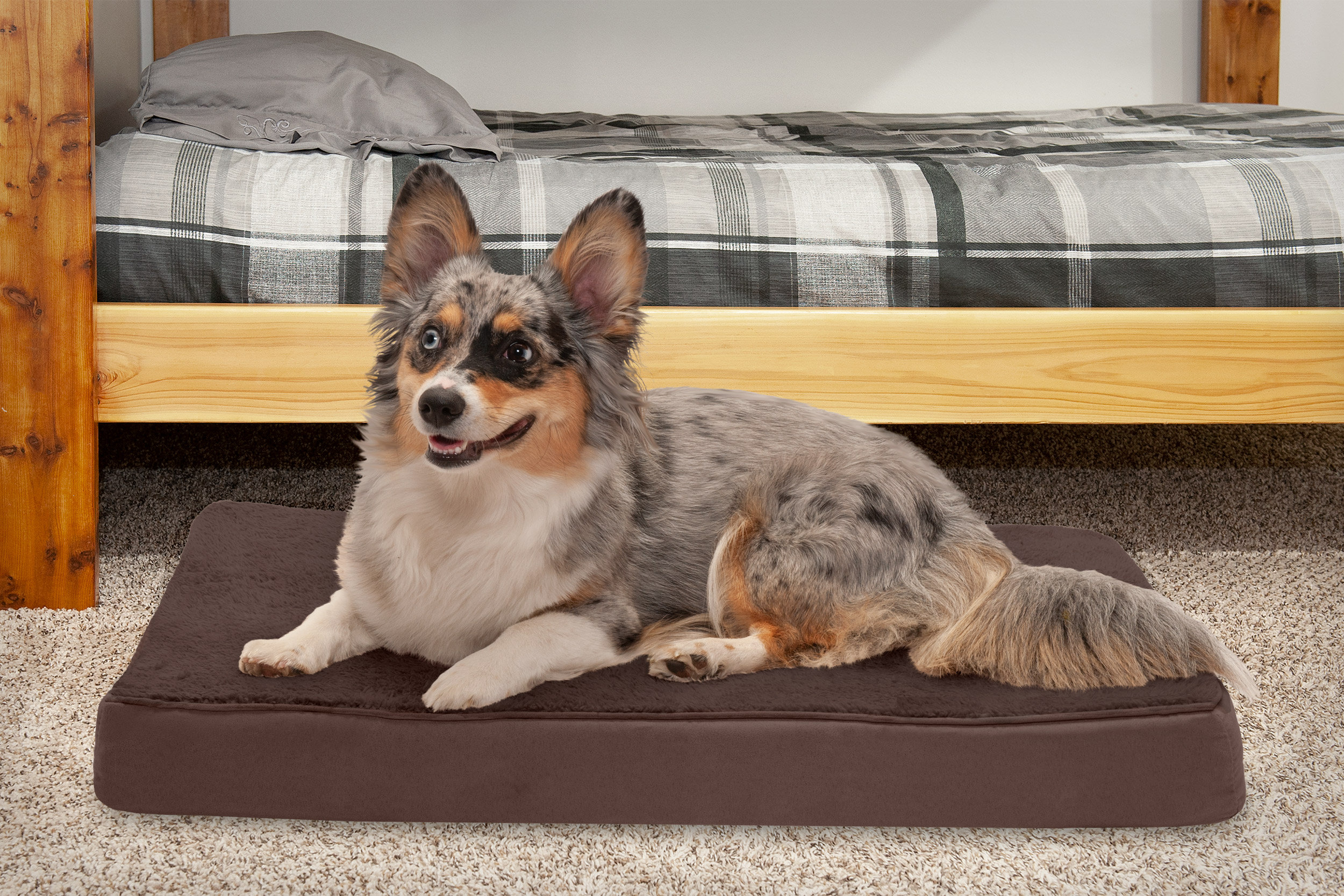 orthopedic dog bed with cooling gel