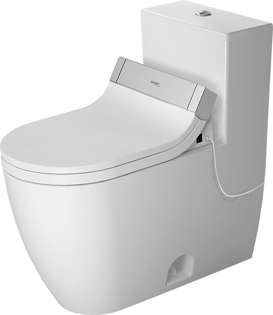 Duravit DualFlush Elongated OnePiece Toilet (Seat Included) Wayfair