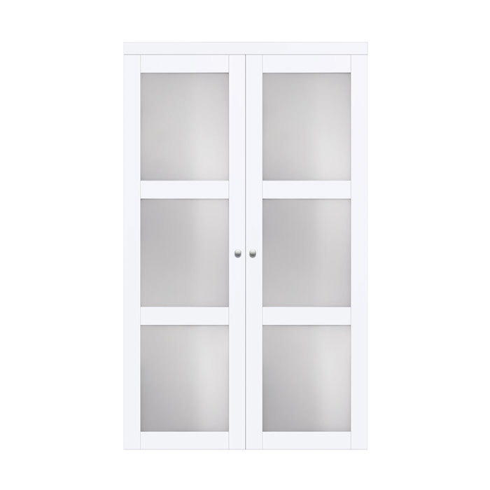 Erias Home Designs Glass Pivot Door Reviews Wayfair Ca