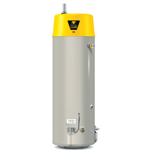 Go to store & view more images A.O. Smith BTX-80 Commercial Tank Type Water Heater Nat Gas 50 Gal Cyclone HE 76,000 BTU Input High Efficiency