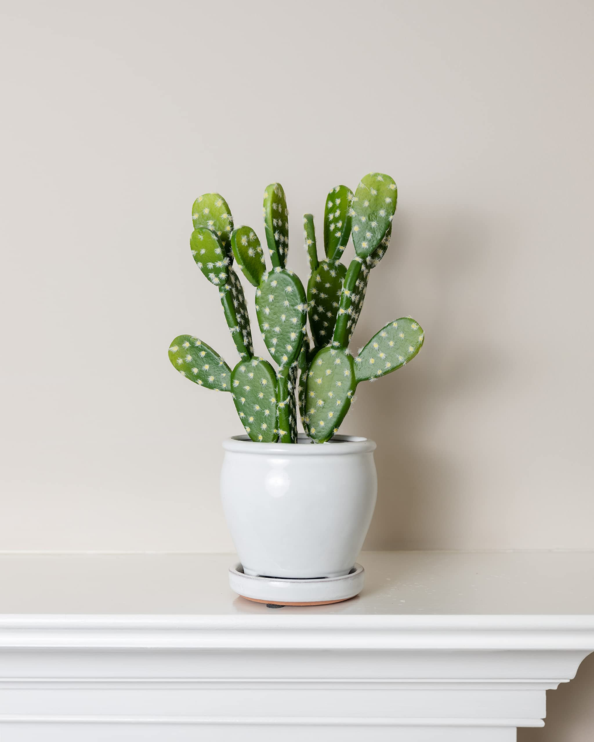 Primrue Artificial Cactus Picks Pack Of 4 Premium Succulent Plants