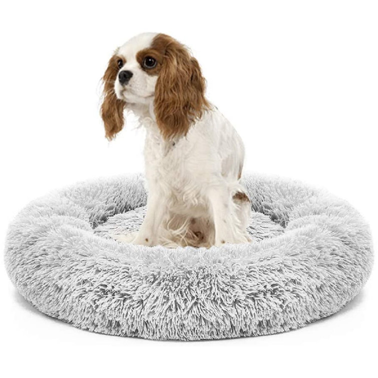 memory foam donut dog bed