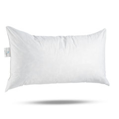 feather down throw pillows