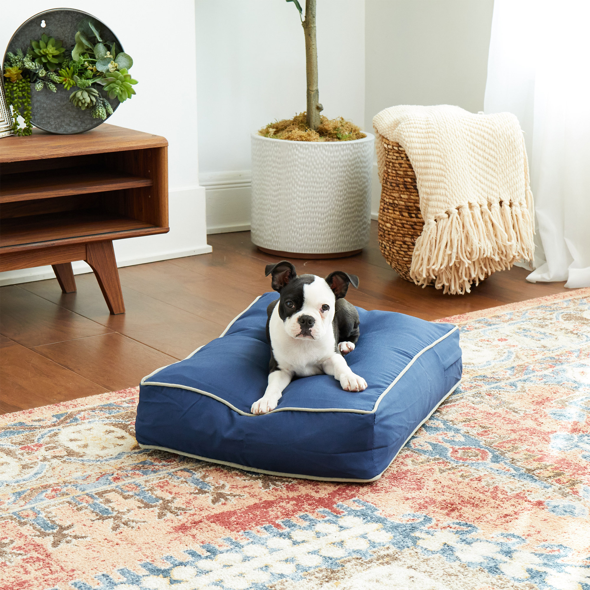 [BIG SALE] BestSelling Dog Beds You’ll Love In 2022 Wayfair