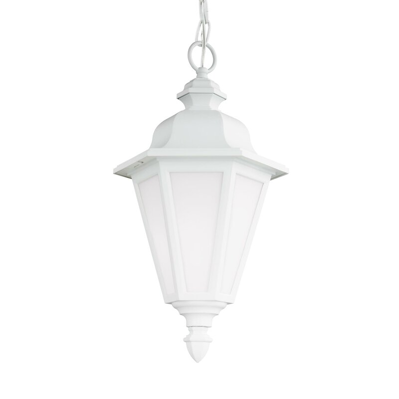 Darby Home Co Palmdale Traditional 1-Light Outdoor Pendant